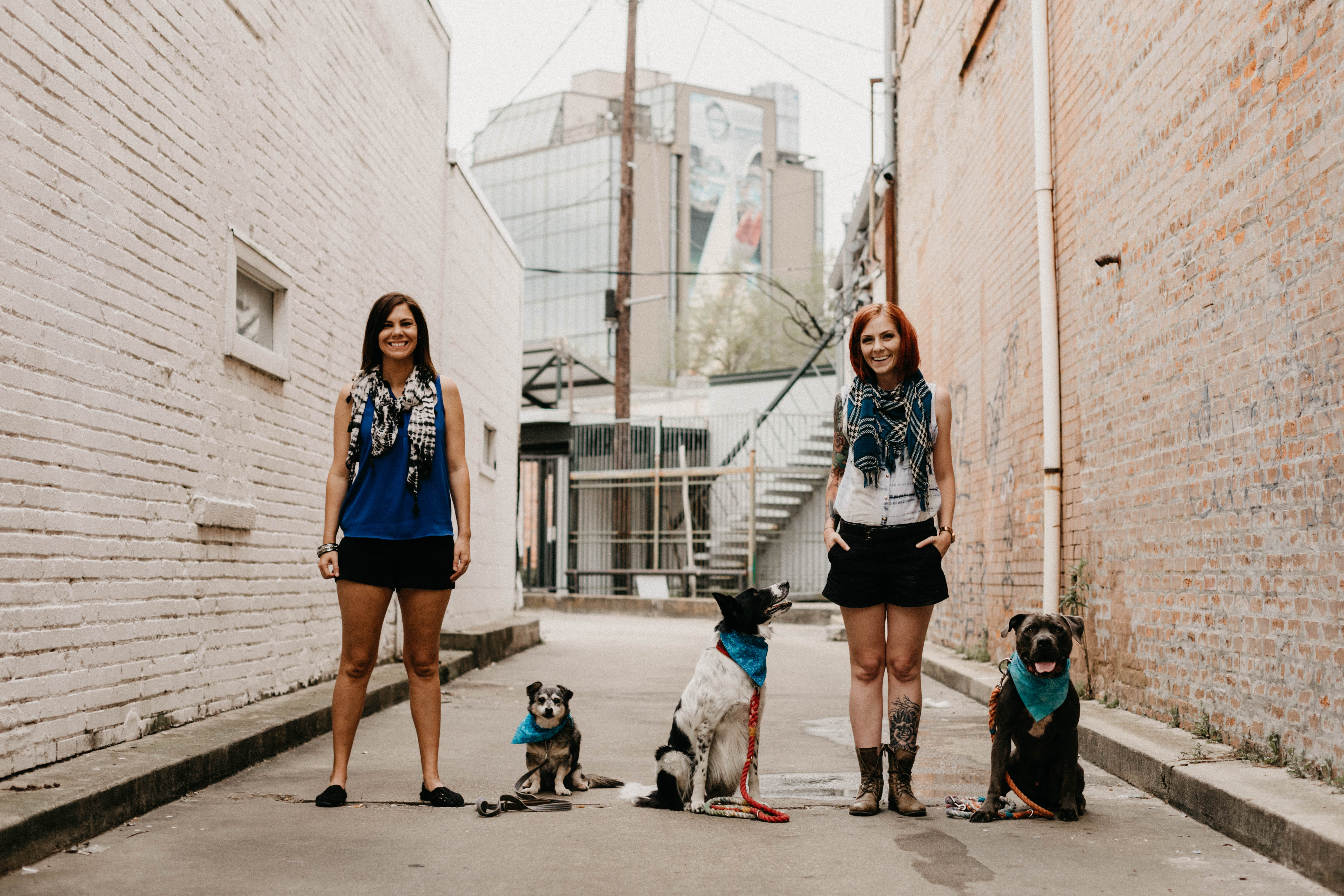 puppies lafayette la certified puppy trainer in lafayette louisiana la sit happens puppies lafayette la certified puppy trainer in lafayette louisiana la sit happens